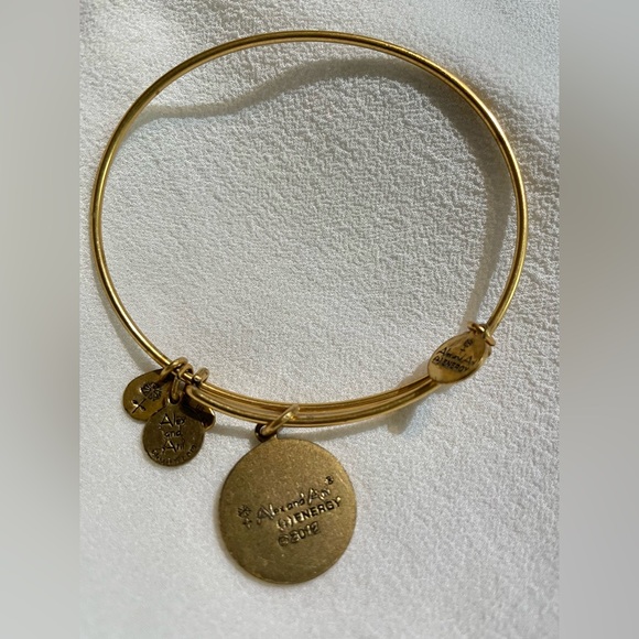 Lot of 14 ALEX & ANI meaningful bracelets, entire lot $121 (total value of $797) - Picture 7 of 14